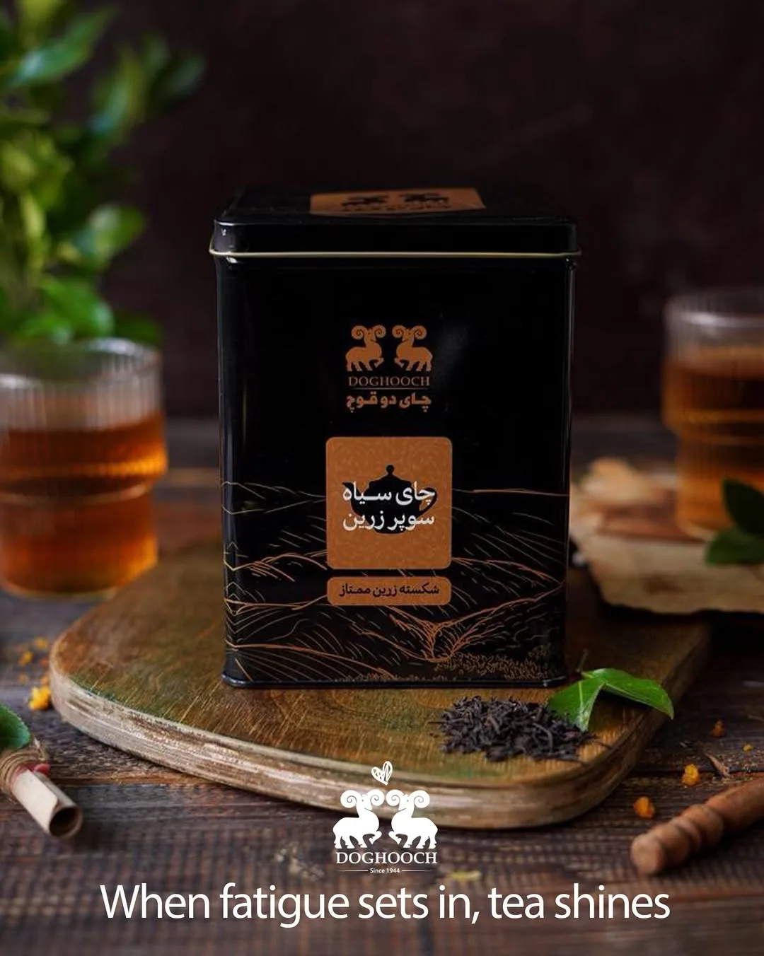 چای سیاه سوپر زرین دوقوچ