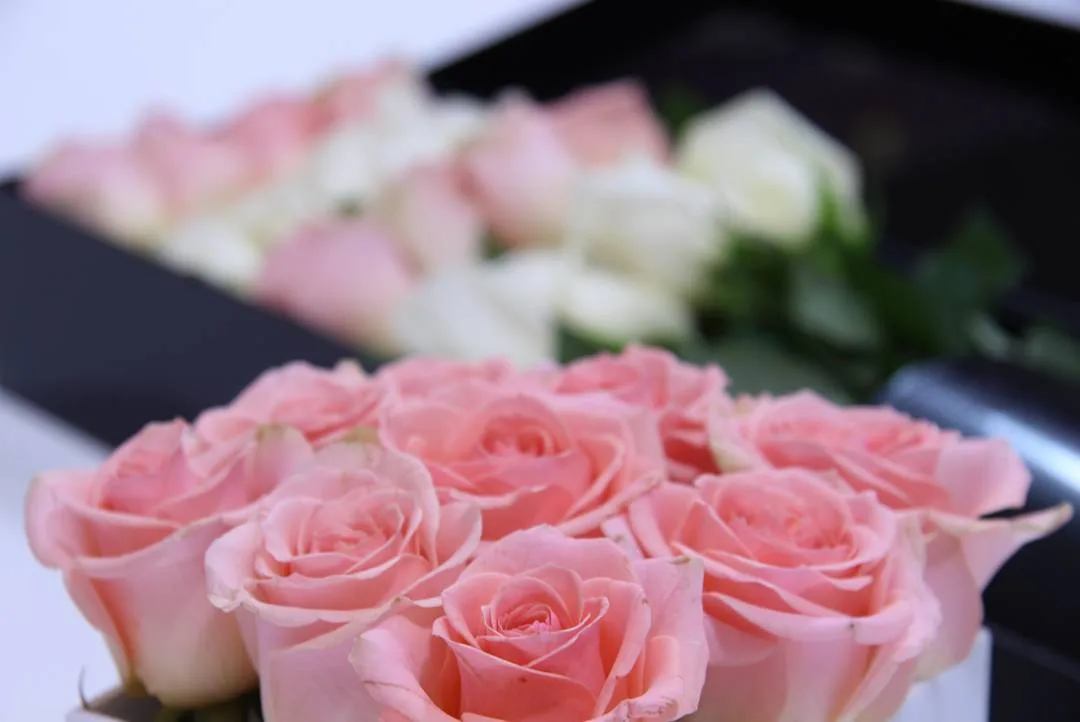 باکس گل
