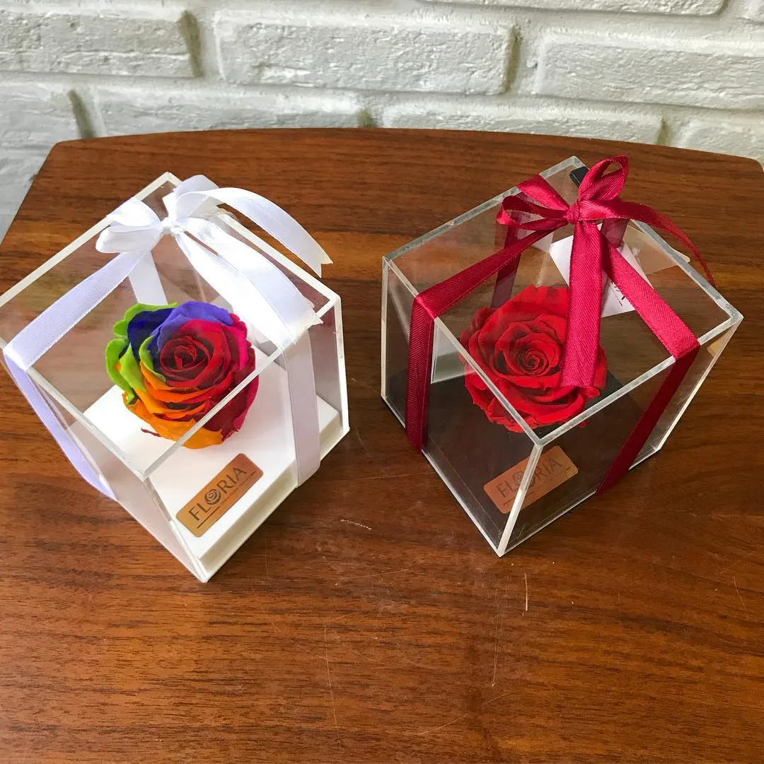 رز جاودان قرمز و رنگینکمانی RoseAmor