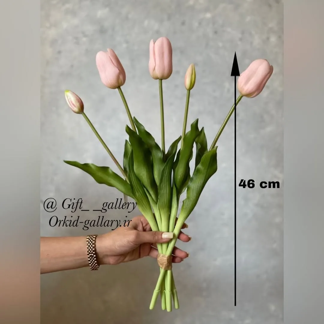 بوته گل لاله صورتی سایز بزرگ — عکس ۵