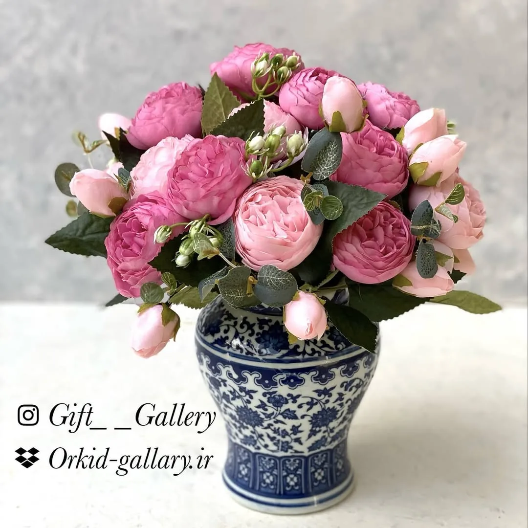بوته رز پئونی دورنگ