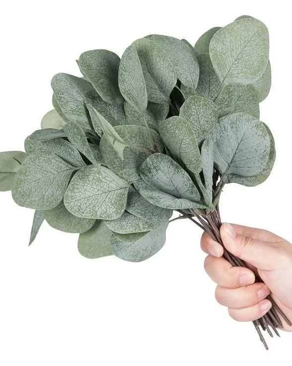 اوکالیپتوس سبز خاکی ۵ شاخه — عکس ۵