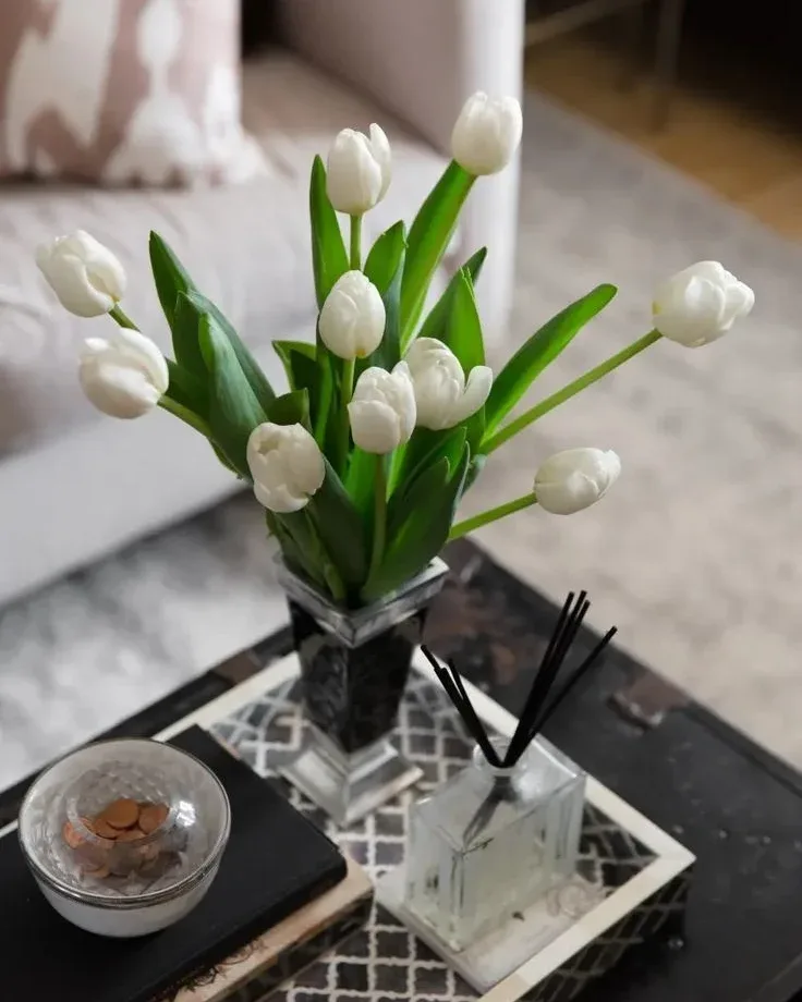 بوته لاله ۵ گل سفید — عکس ۲
