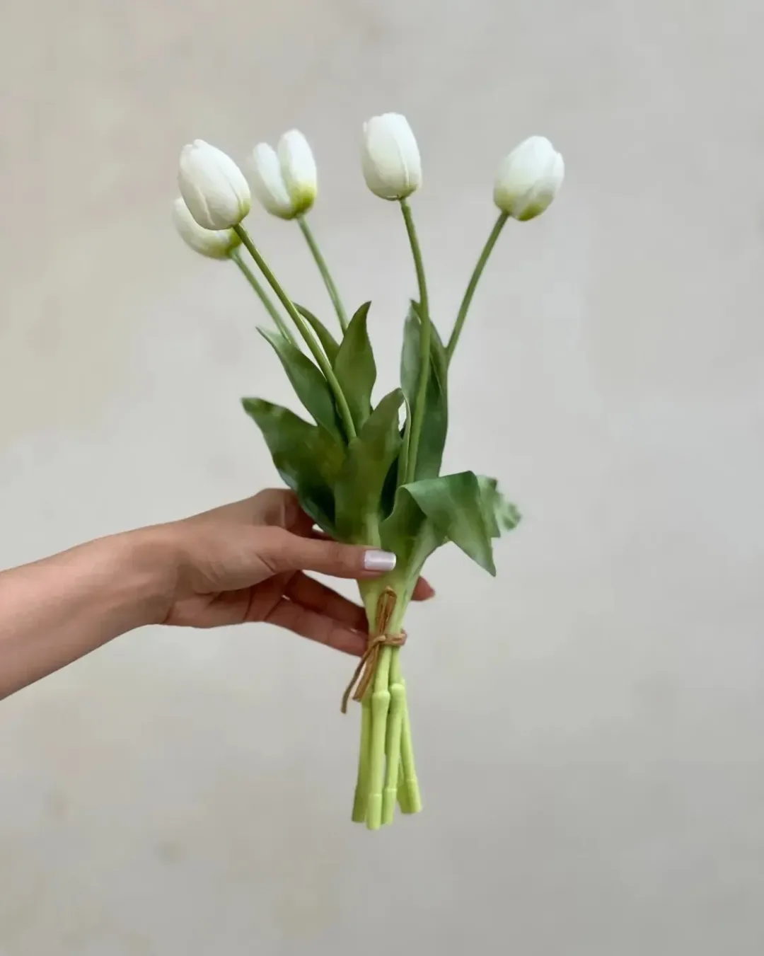 بوته لاله ۵ گل سفید — عکس ۵
