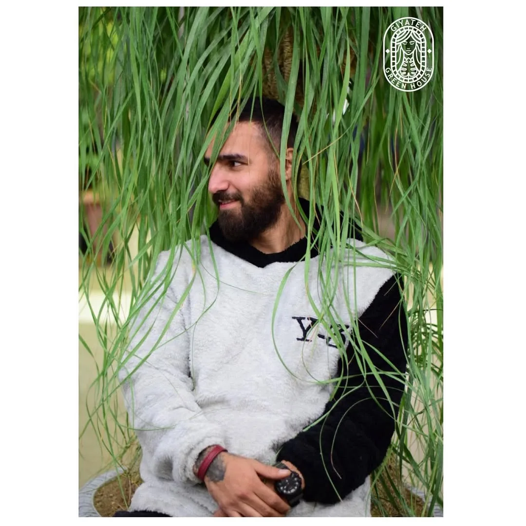 گیاه لیندا — عکس ۳