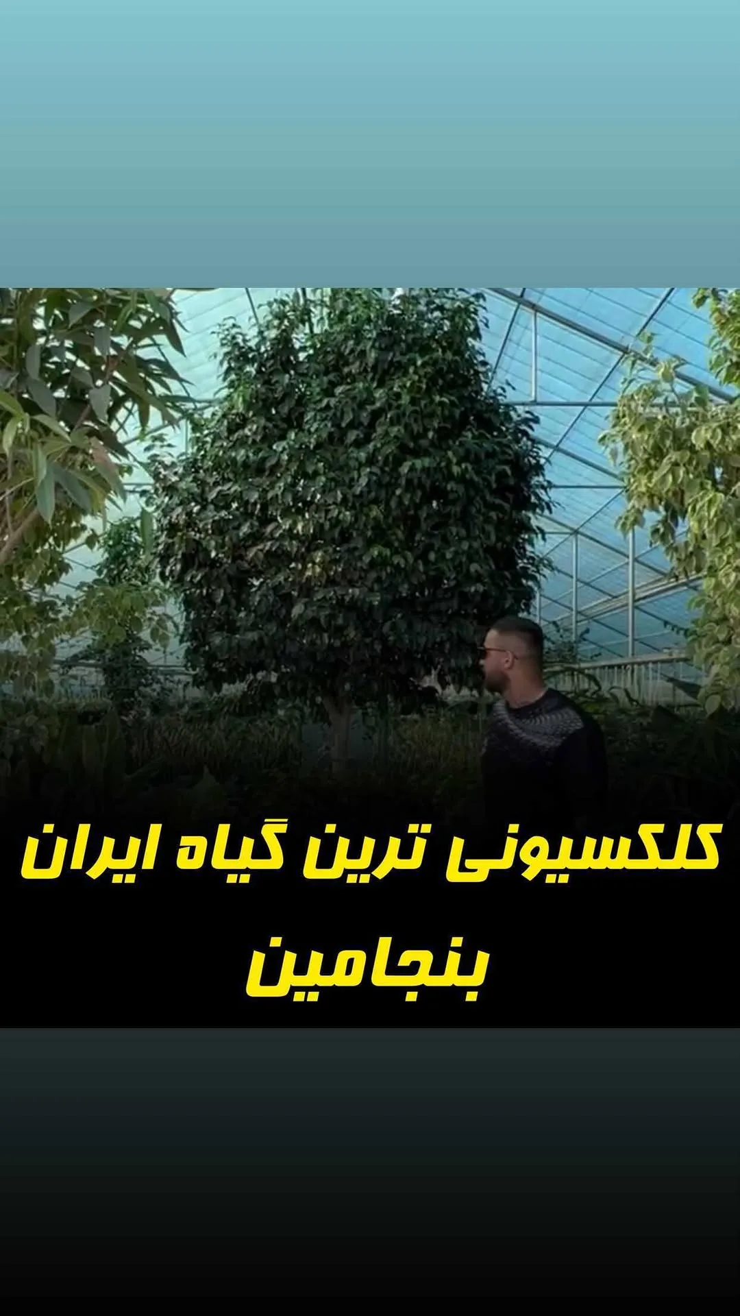 بنجامین بلک