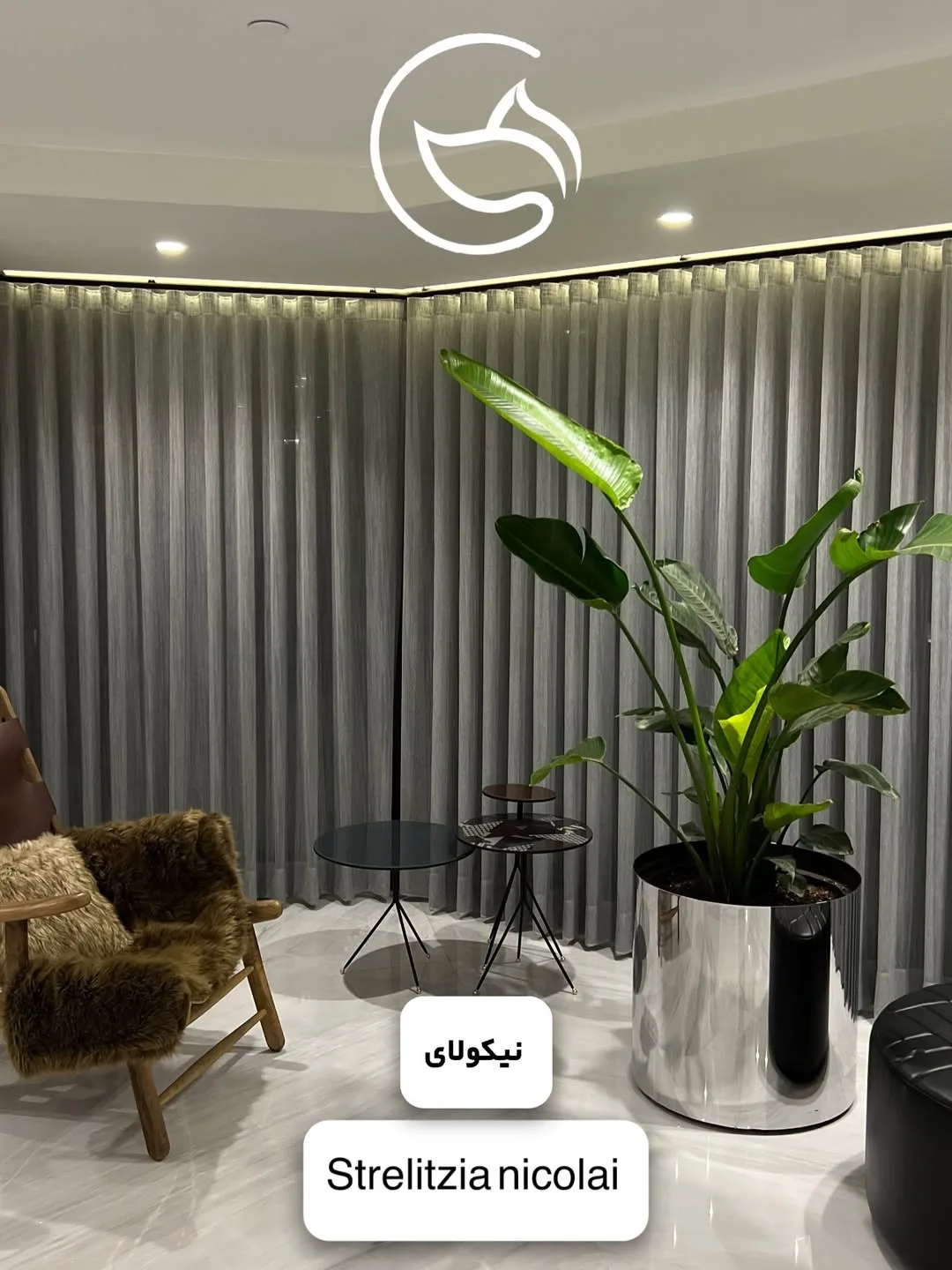 نیکولای (استرلیتزیا)