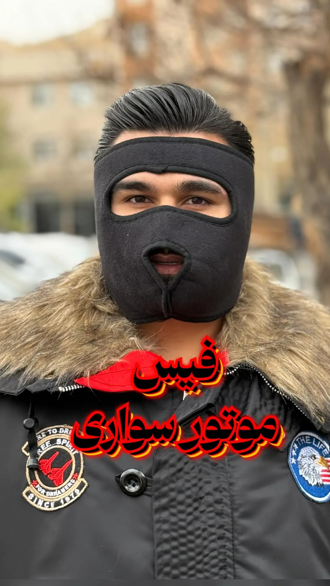 فیس‌کاور زمستانی پلار