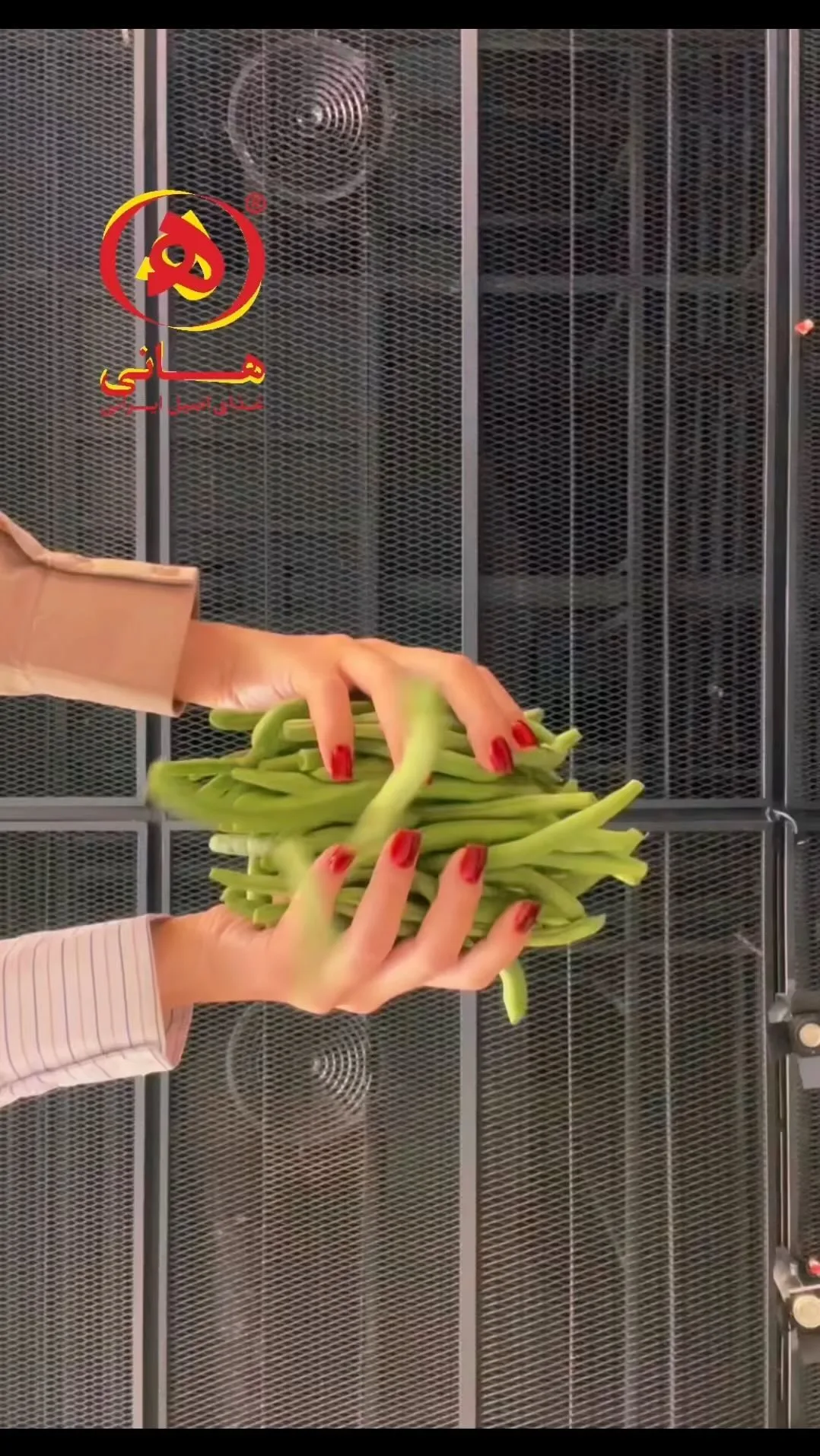 مایه لوبیا پلو آماده هانی، رنگ سبز، سبزیجات تازه