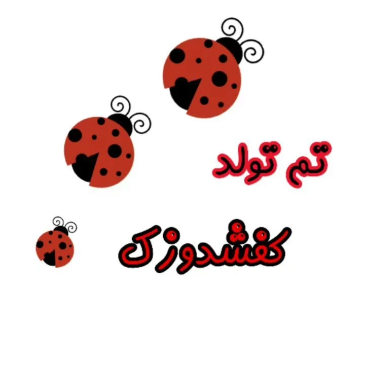 تم تولد کفشدوزک