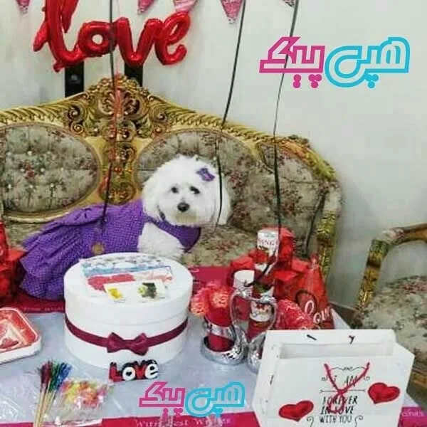 پکیج تم تولد Love، رنگ قرمز و سفید، جعبه، بادکنک