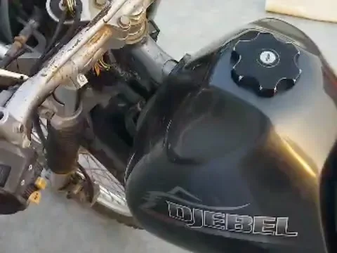 موتورسیکلت سوزوکی دیجیبل ۲۵۰ — عکس ۳