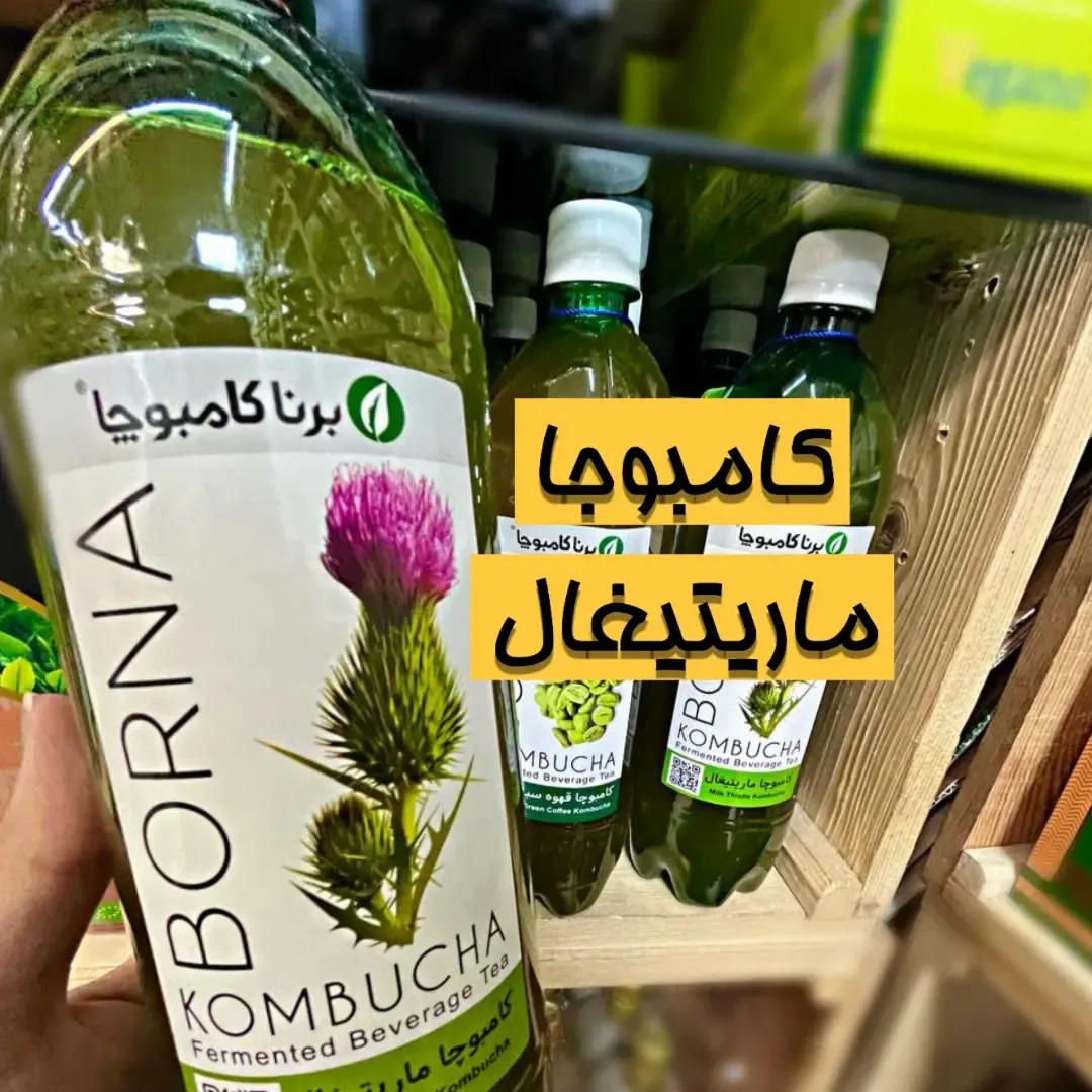 کامبوچا ماریتیغال یک لیتری برنا، رنگ سبز، جنس شیشه، بطری