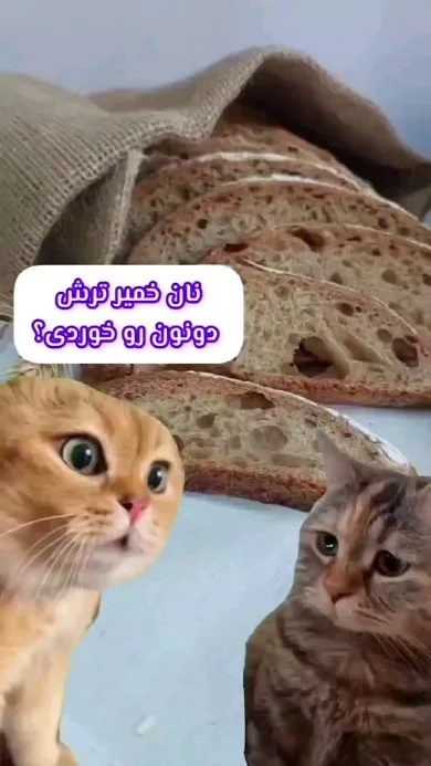 نان خمیر ترش دونون، رنگ قهوه‌ای، برش خورده