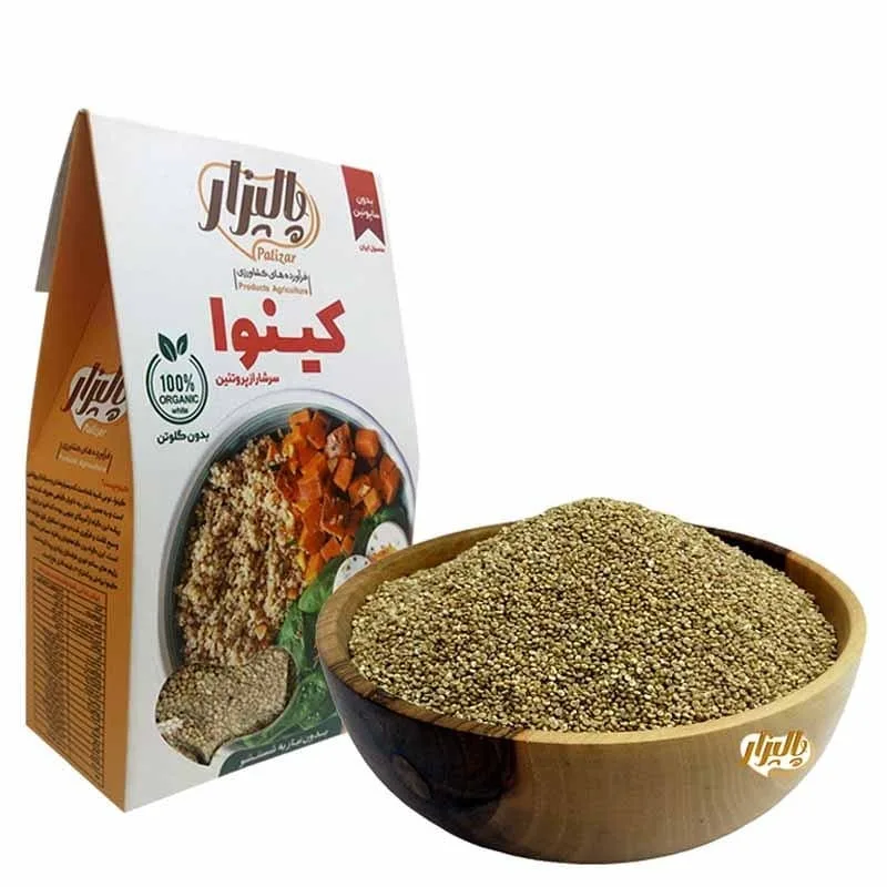 کینوا پالیزار