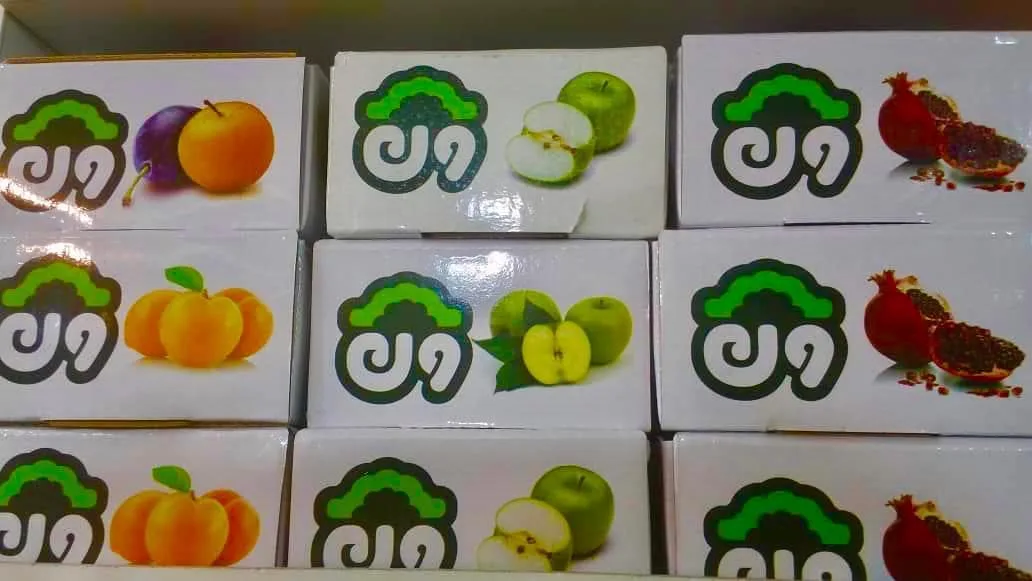 لواشک میوه طبیعی ون