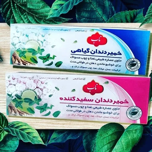 خمیردندان گیاهی ناب