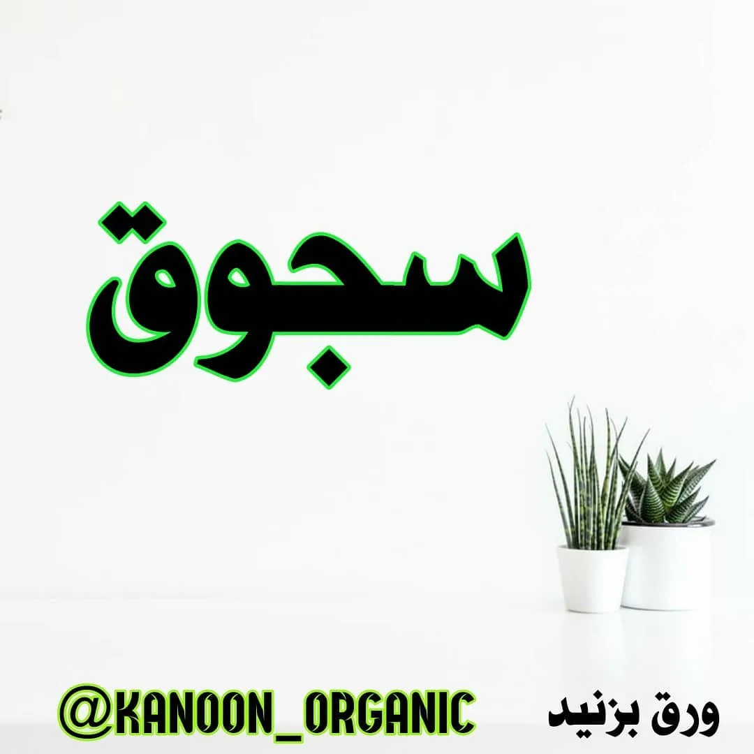 سجوق