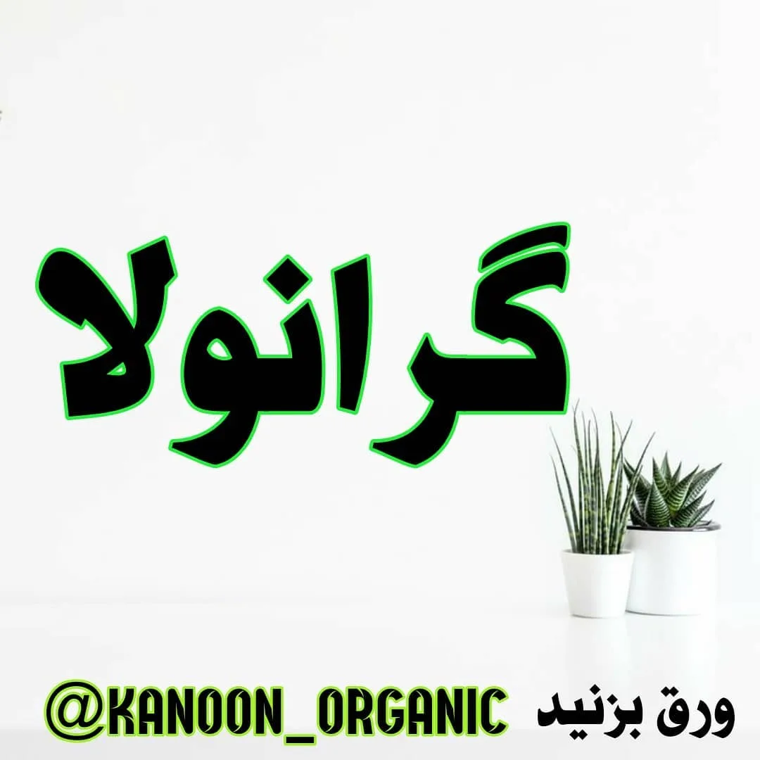 گرانولا ۳۷۰ گرم