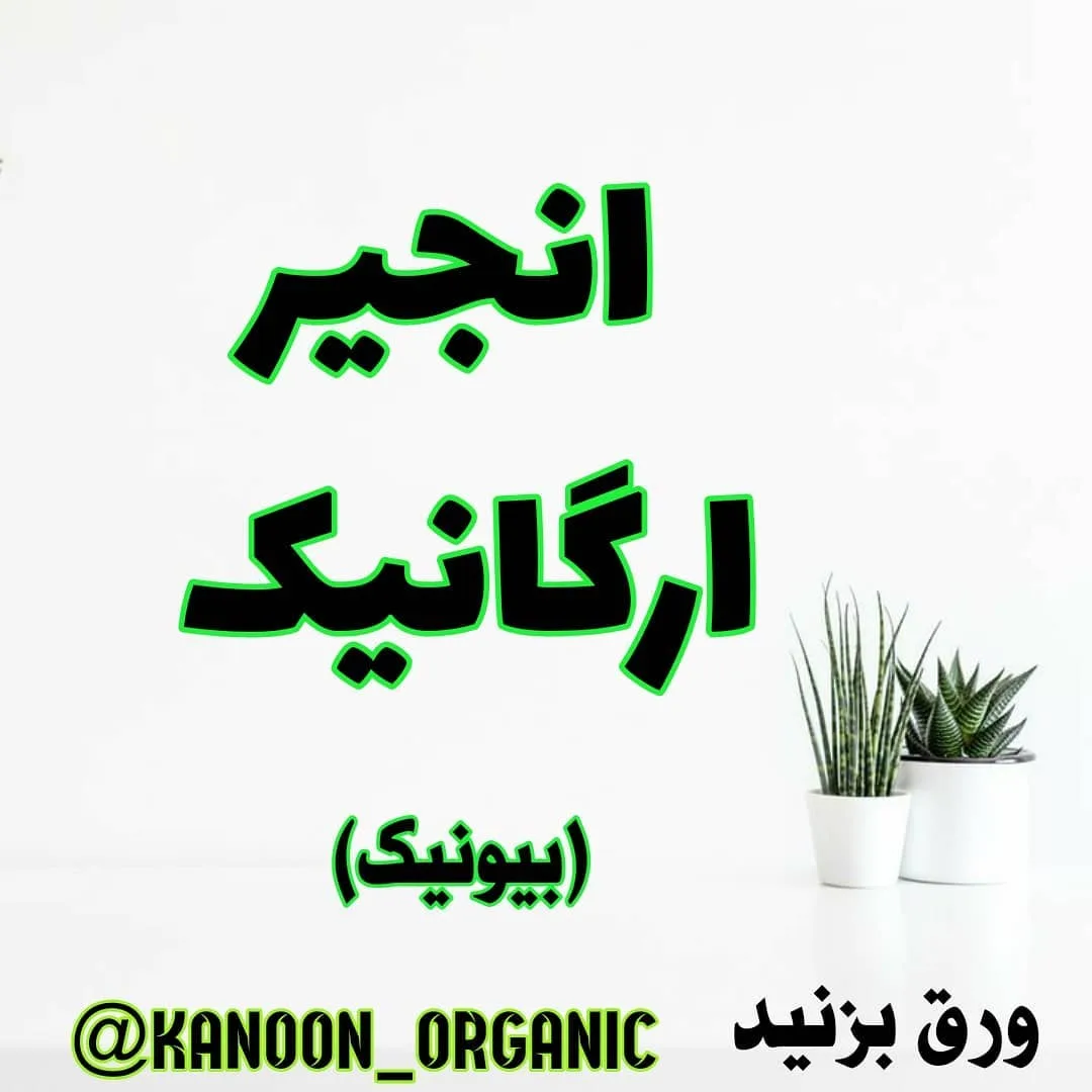 انجیر خشک ارگانیک ۲۵۰ گرمی بیونیک
