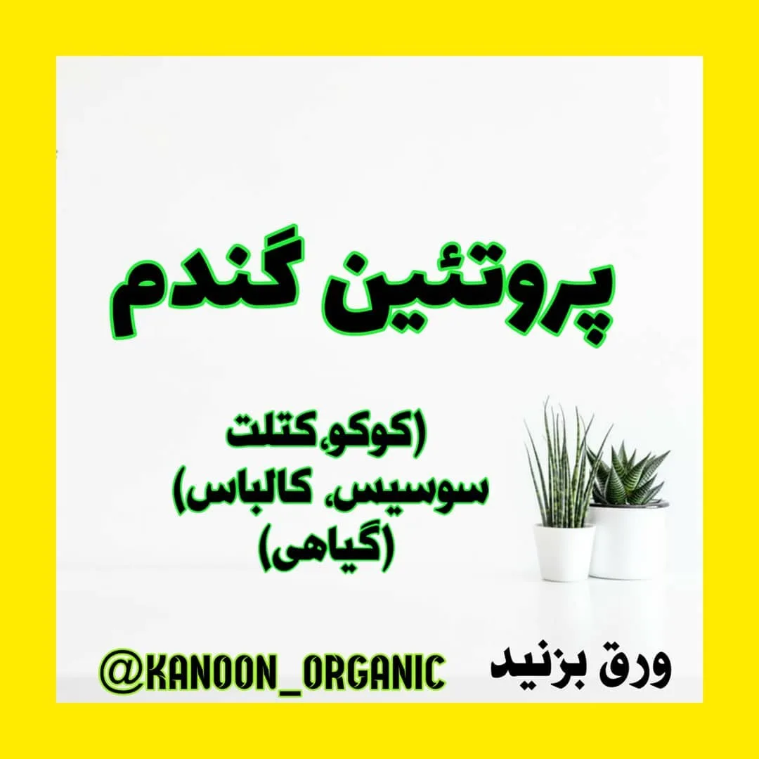 سیتن پروتئین گندم