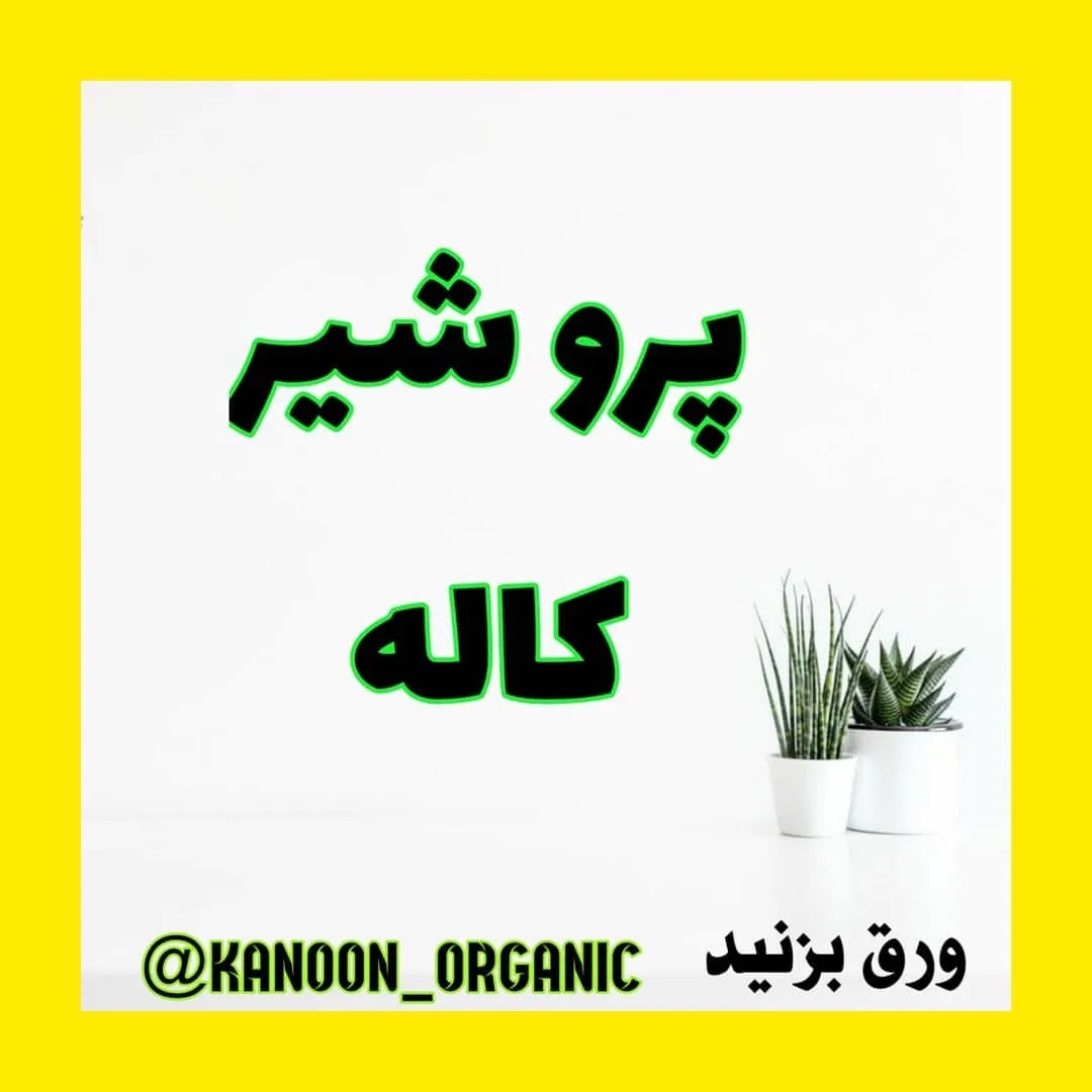 شیر پرومیلک کاکائو ۳۳۰ میلی‌لیتر کاله