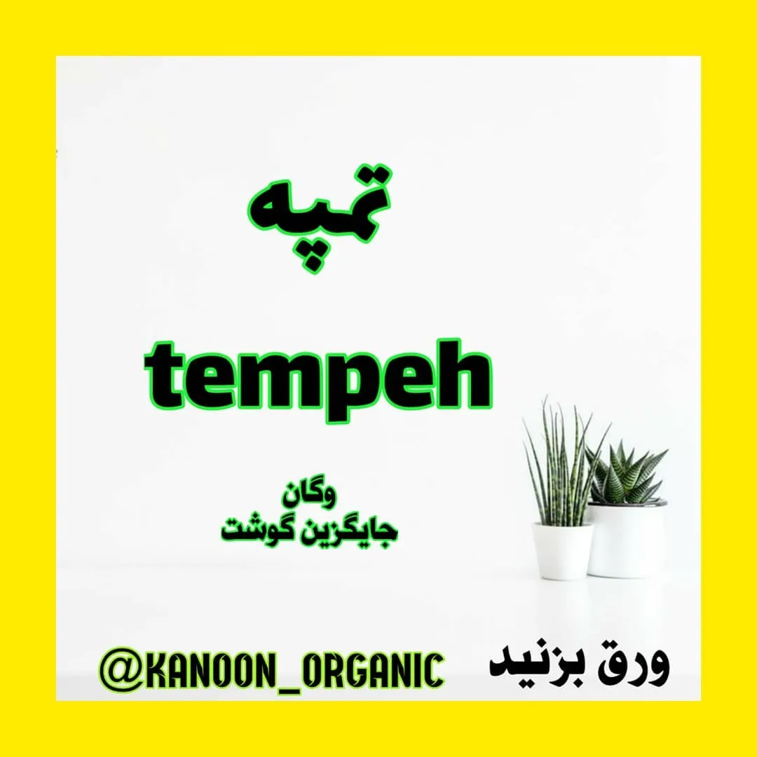تمپه وگان جایگزین گوشت