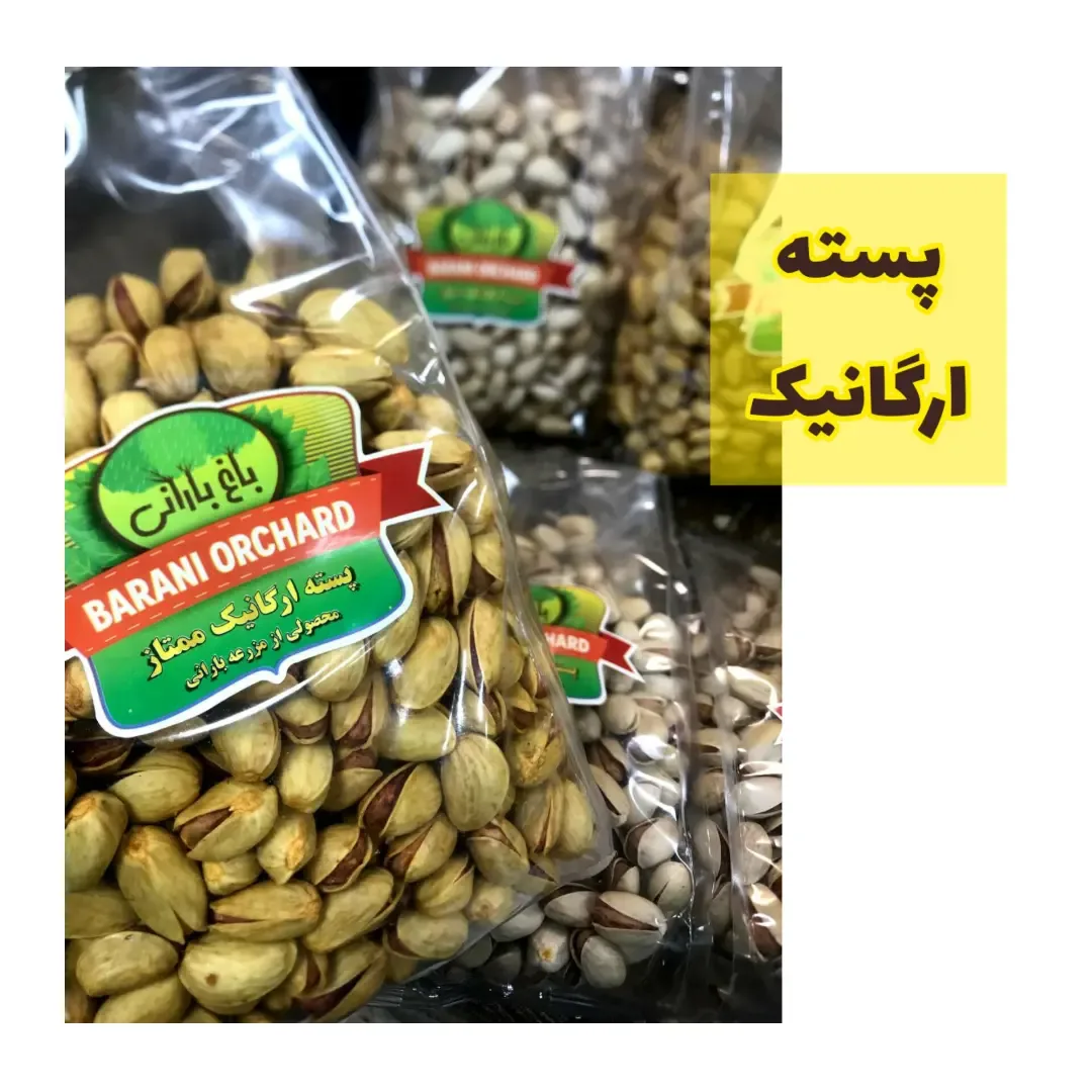 پسته ارگانیک باغ بارانی ۵۰۰ گرمی