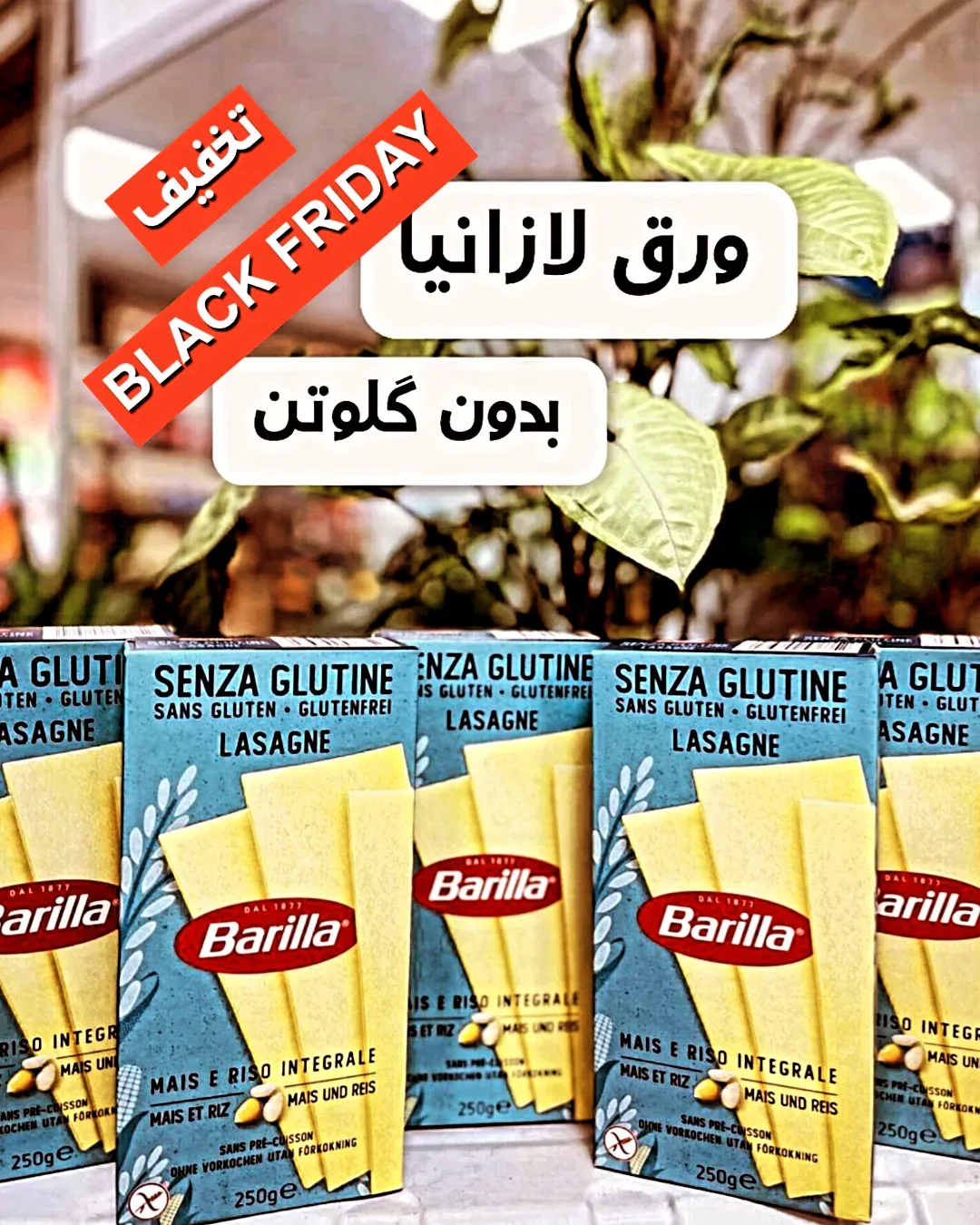 ورق لازانیا بدون گلوتن ۲۵۰ گرمی Barilla