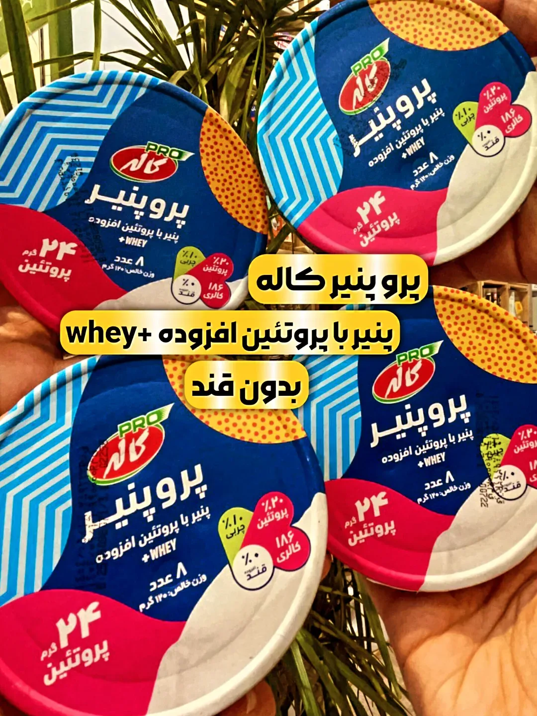 پرو پنیر پروتئینی کاله، رنگ آبی، قرمز و سفید، جنس پلاستیک، ظرف گرد