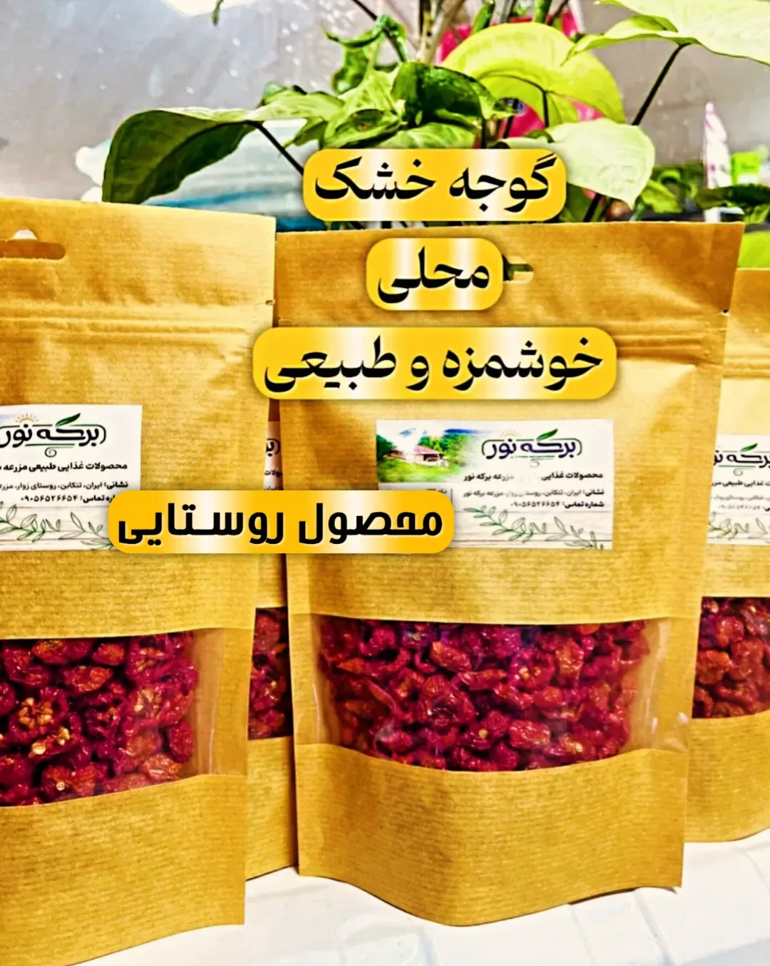 گوجه خشک ۱۰۰ گرمی برکه نور