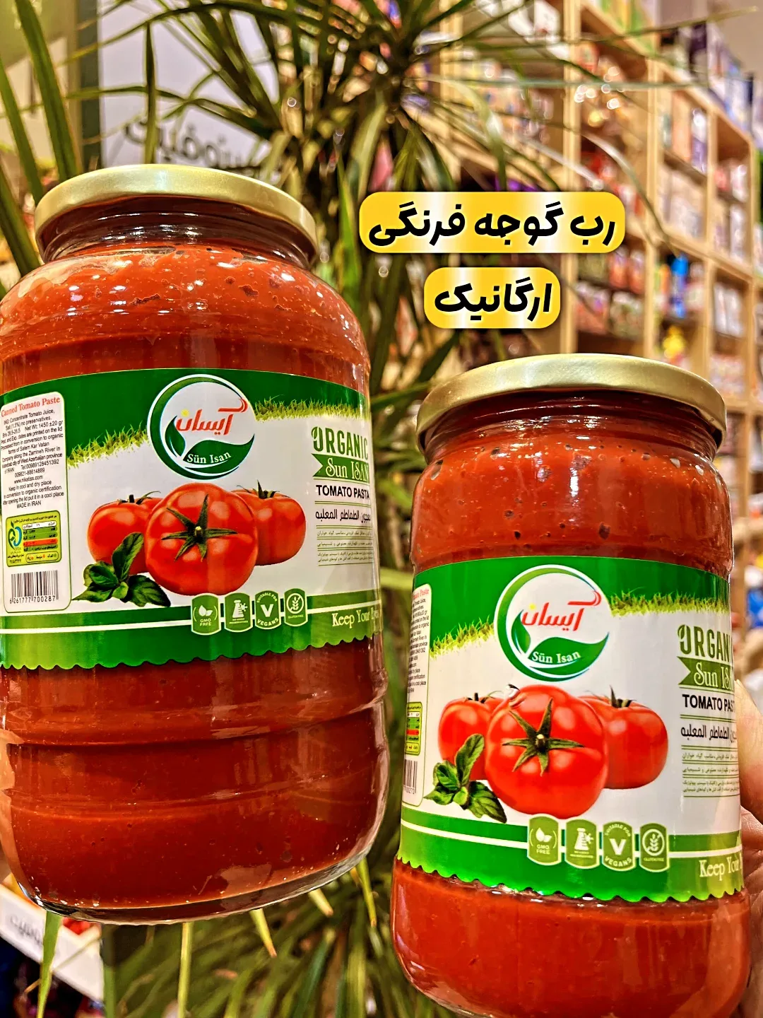 رب گوجه فرنگی ارگانیک ۷۰۰ گرمی سان آیسان