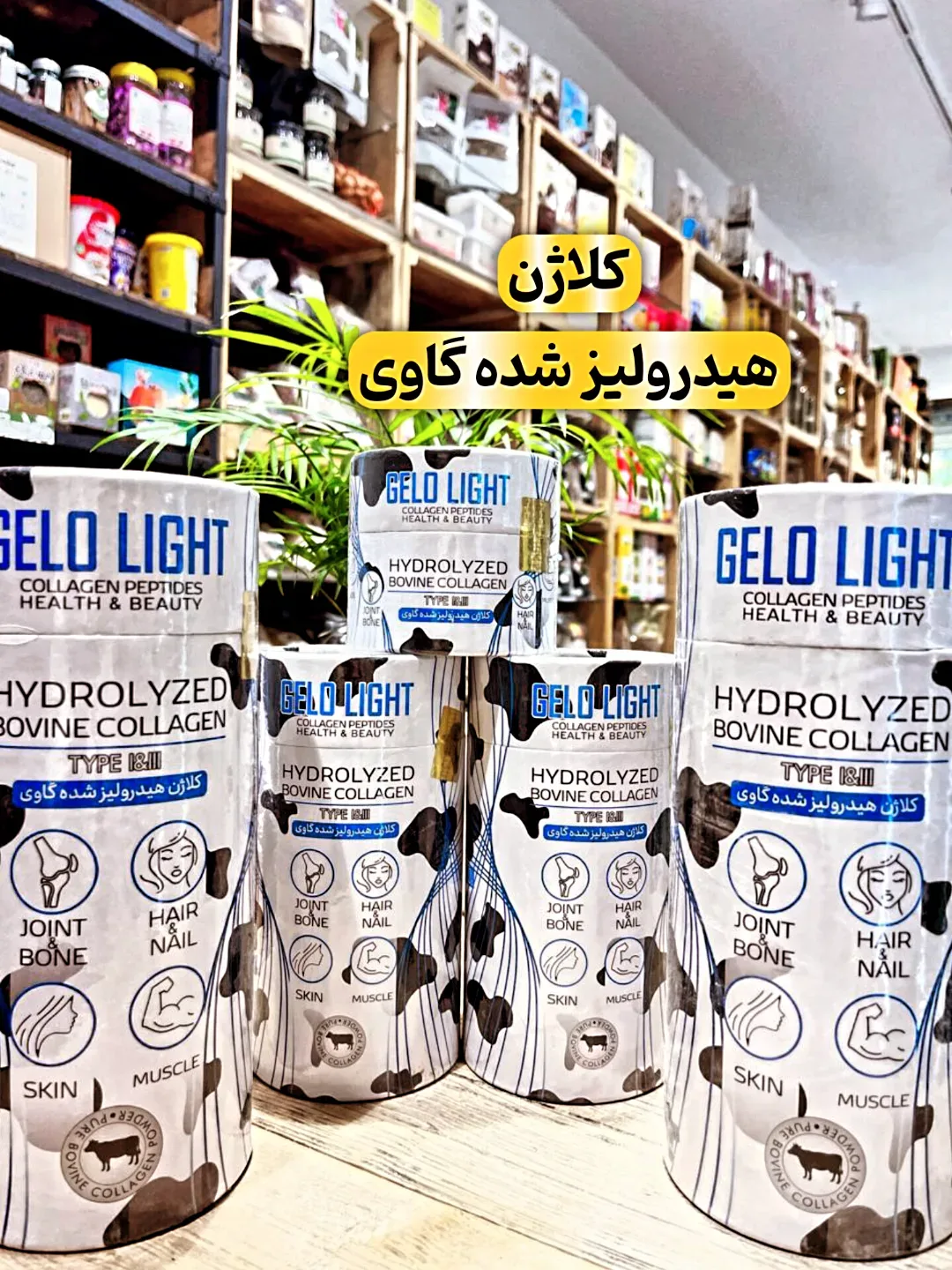 پودر کلاژن هیدرولیز شده گاوی ژلو لایت