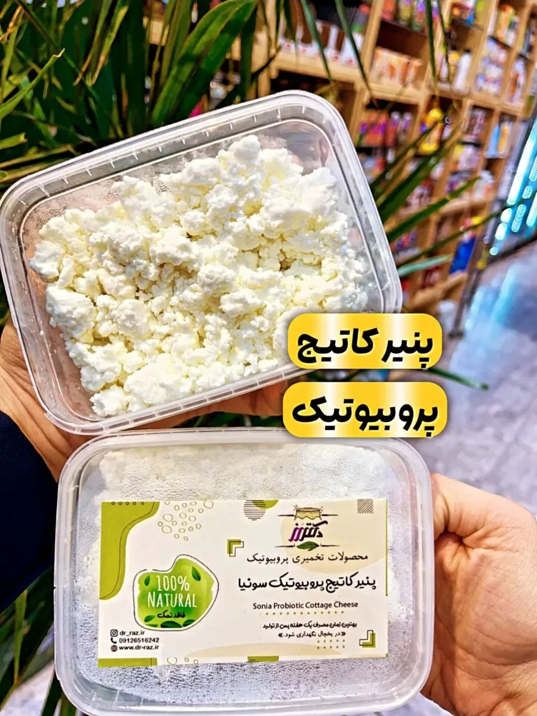 پنیر کاتیج پروبیوتیک ۳۰۰ گرمی، رنگ سفید و سبز، جنس پلاستیک، ظرف پلاستیکی مستطیلی