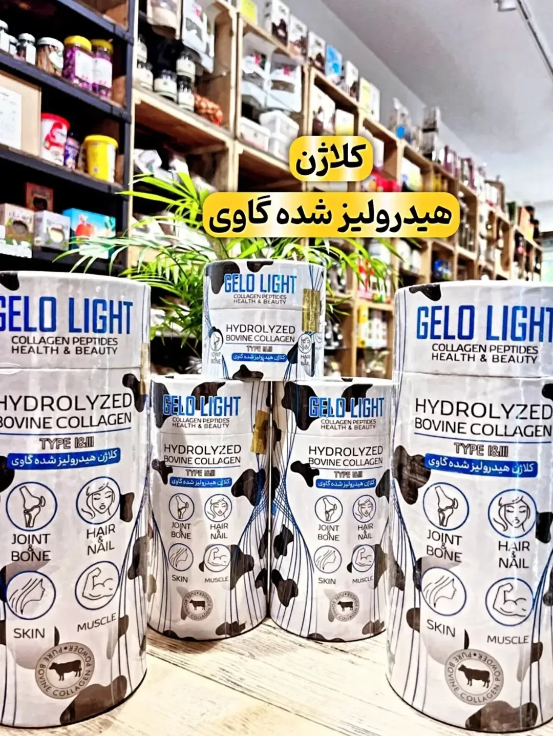 پودر کلاژن هیدرولیز گاوی ژلو لایت Gelo Light