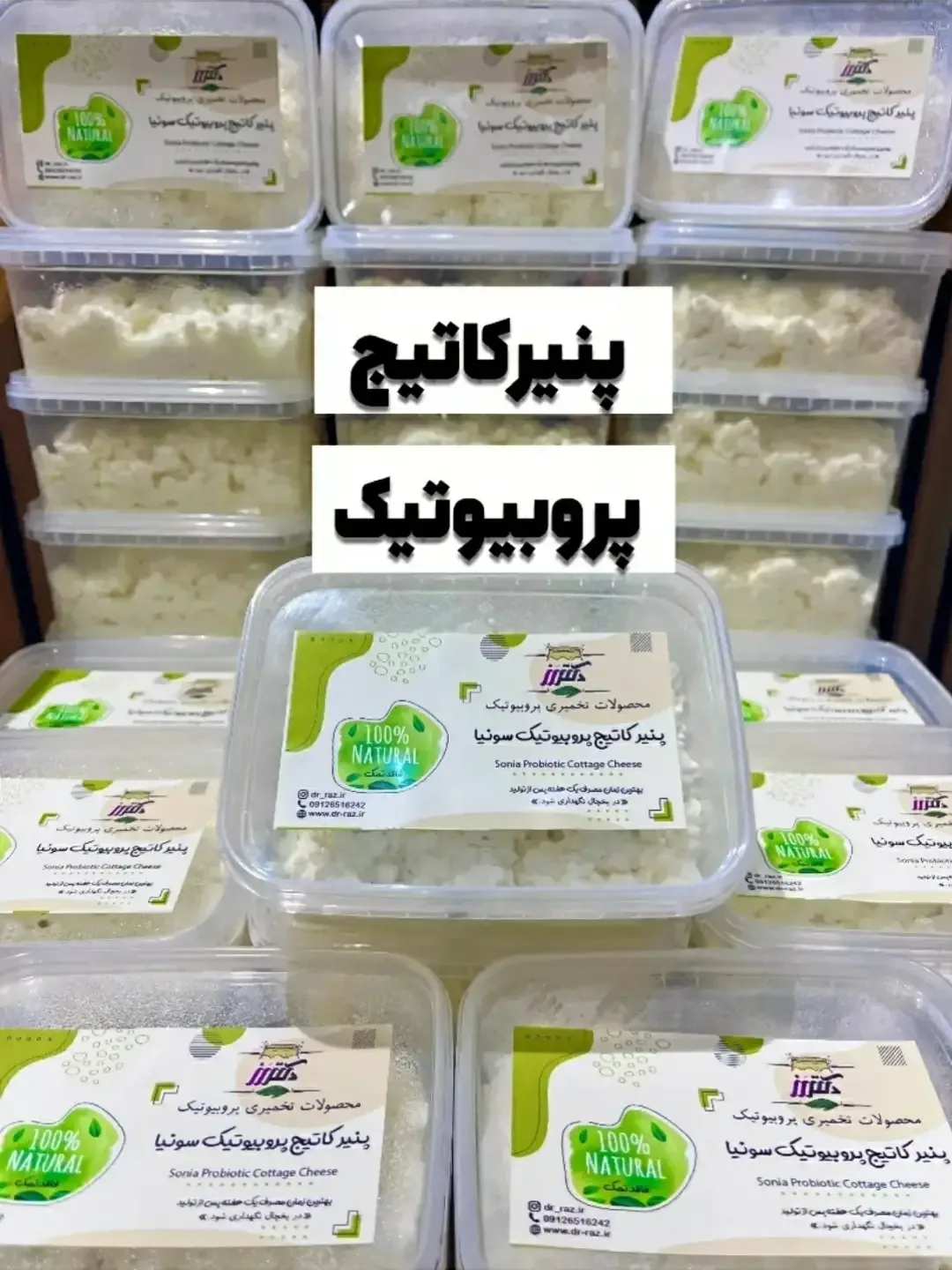 پنیر کاتیج پروبیوتیک