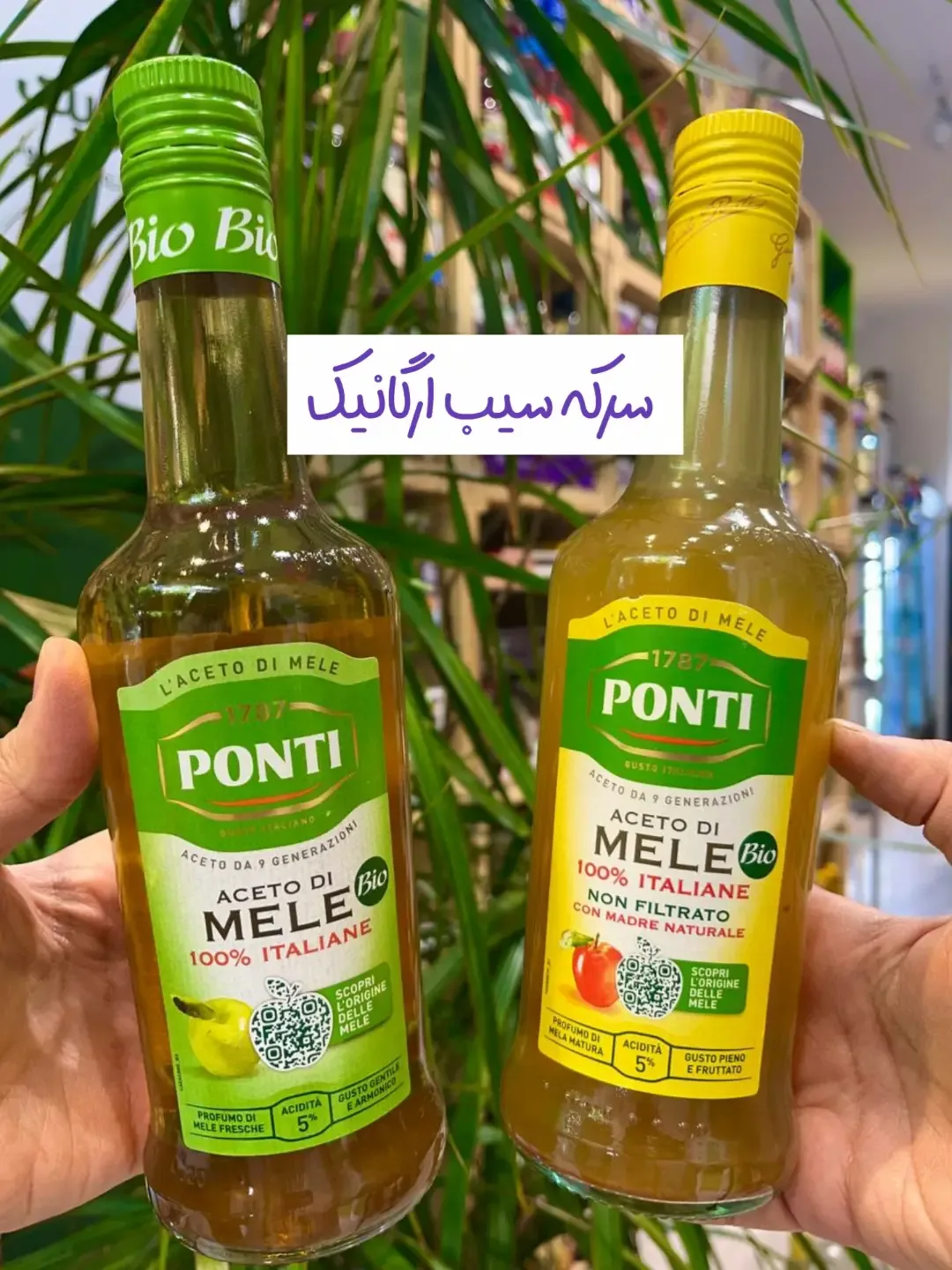 سرکه سیب ارگانیک ۵۰۰ میلیلیتر Ponti، رنگ سبز و زرد، جنس شیشه، بطری