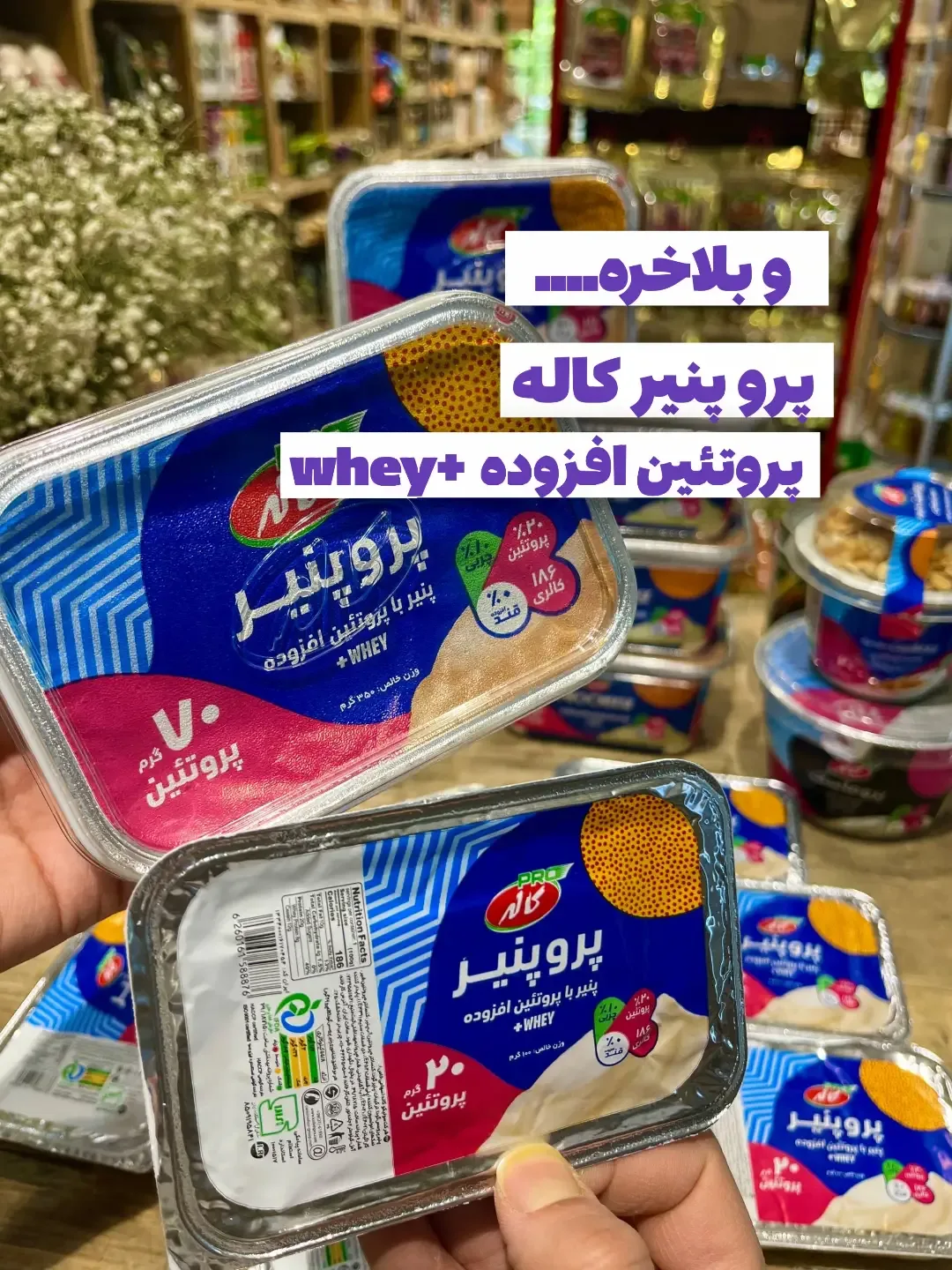 پنیر پروتئینی پرو پنیر کاله، رنگ آبی و سفید، جنس پلاستیک، ظرف مستطیلی