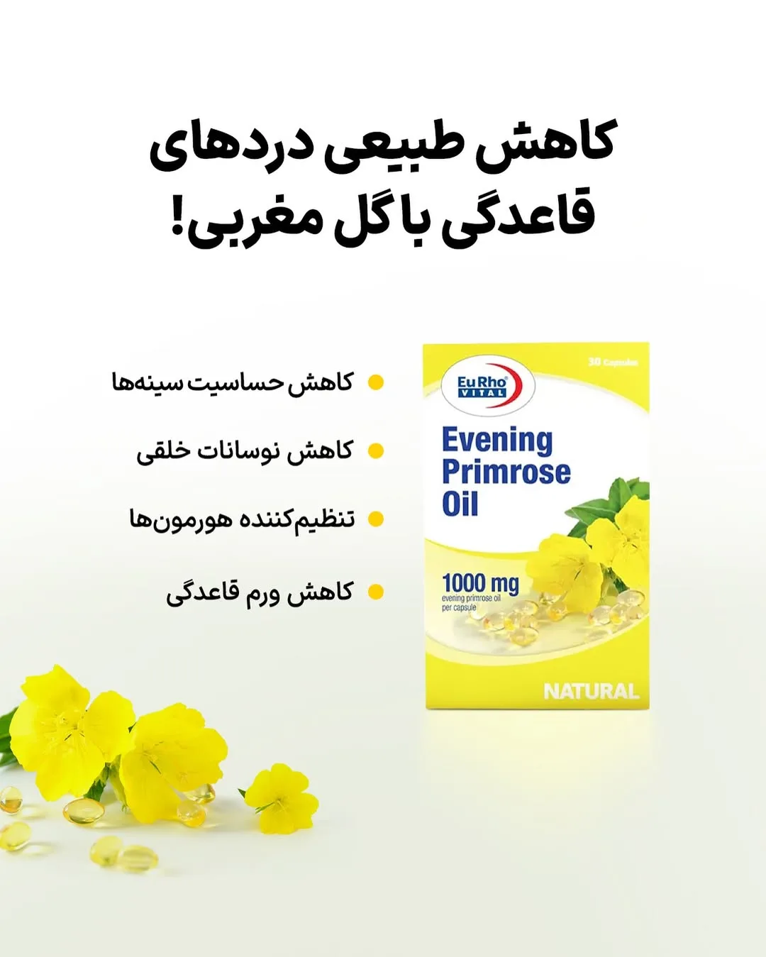 کپسول روغن گل مغربی، رنگ زرد و سفید، جنس مقوا، جعبه کپسول