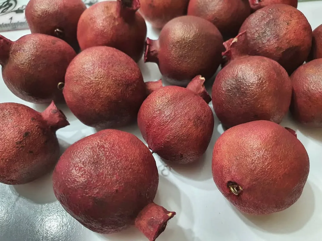 انار خشک کوچک — رنگ قرمز — نمای در‌دست — سایز حدود ۳٫۵ — عکس ۴