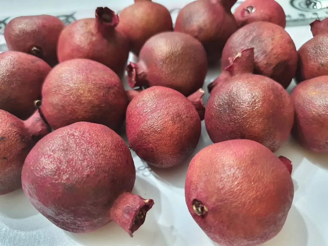 انار خشک کوچک — رنگ قرمز — نمای در‌دست — سایز حدود ۳٫۵ — عکس ۶