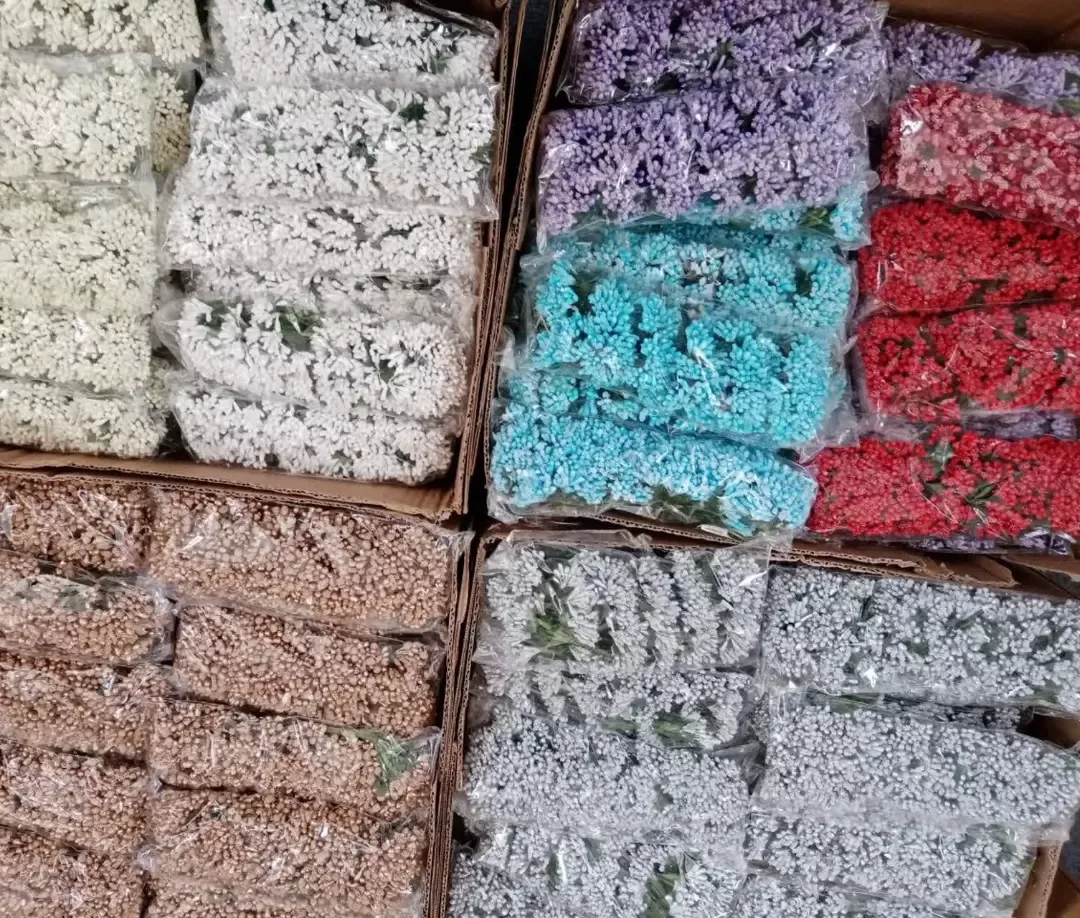 پرچم گل شکری خارجی