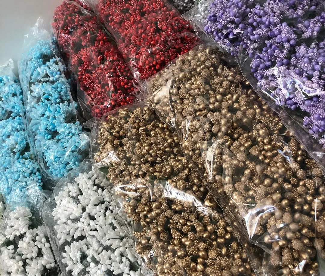 پرچم گل شکری خارجی — نمای در‌دست — ۸ رنگ — عکس ۴