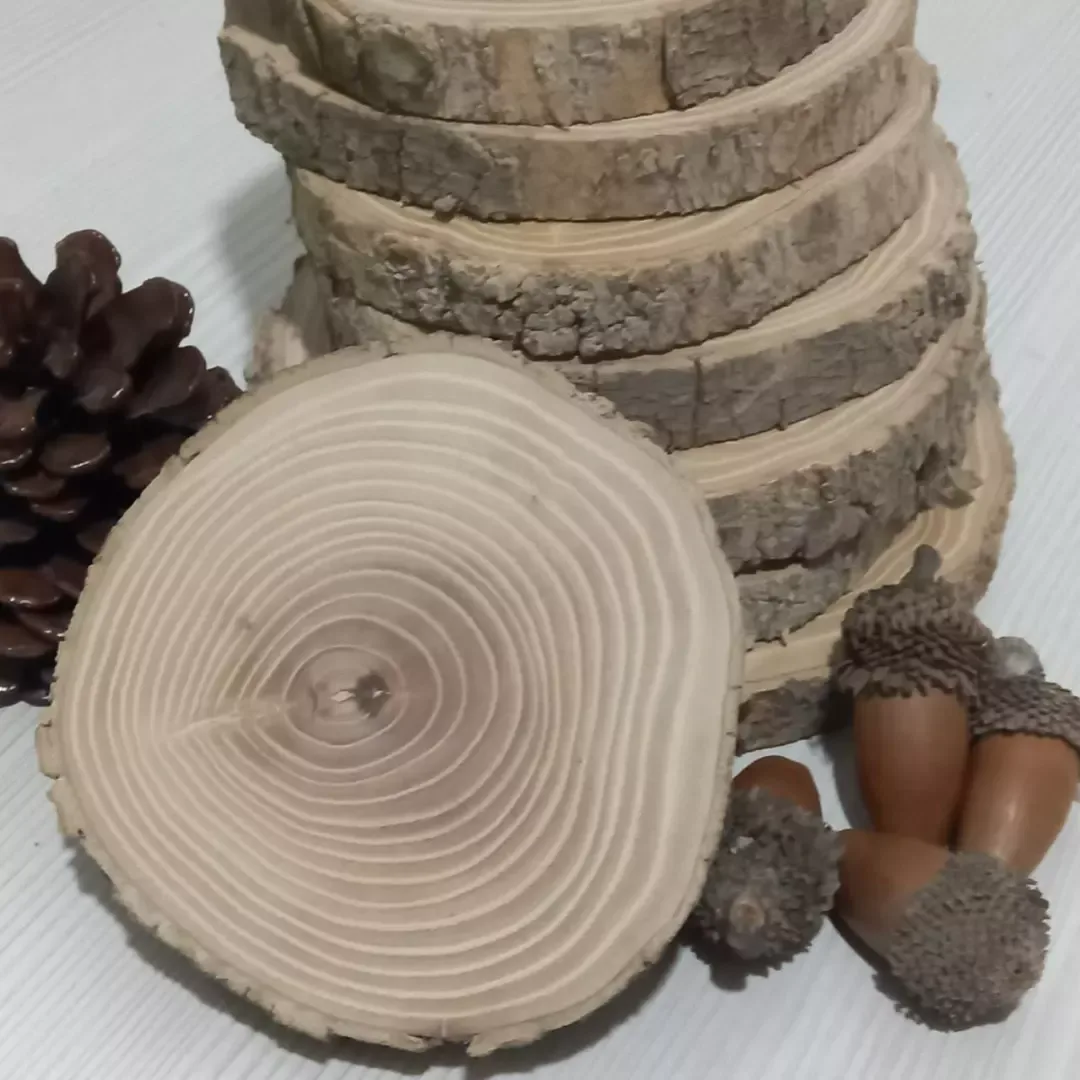 اسلایس چوب درخت ون