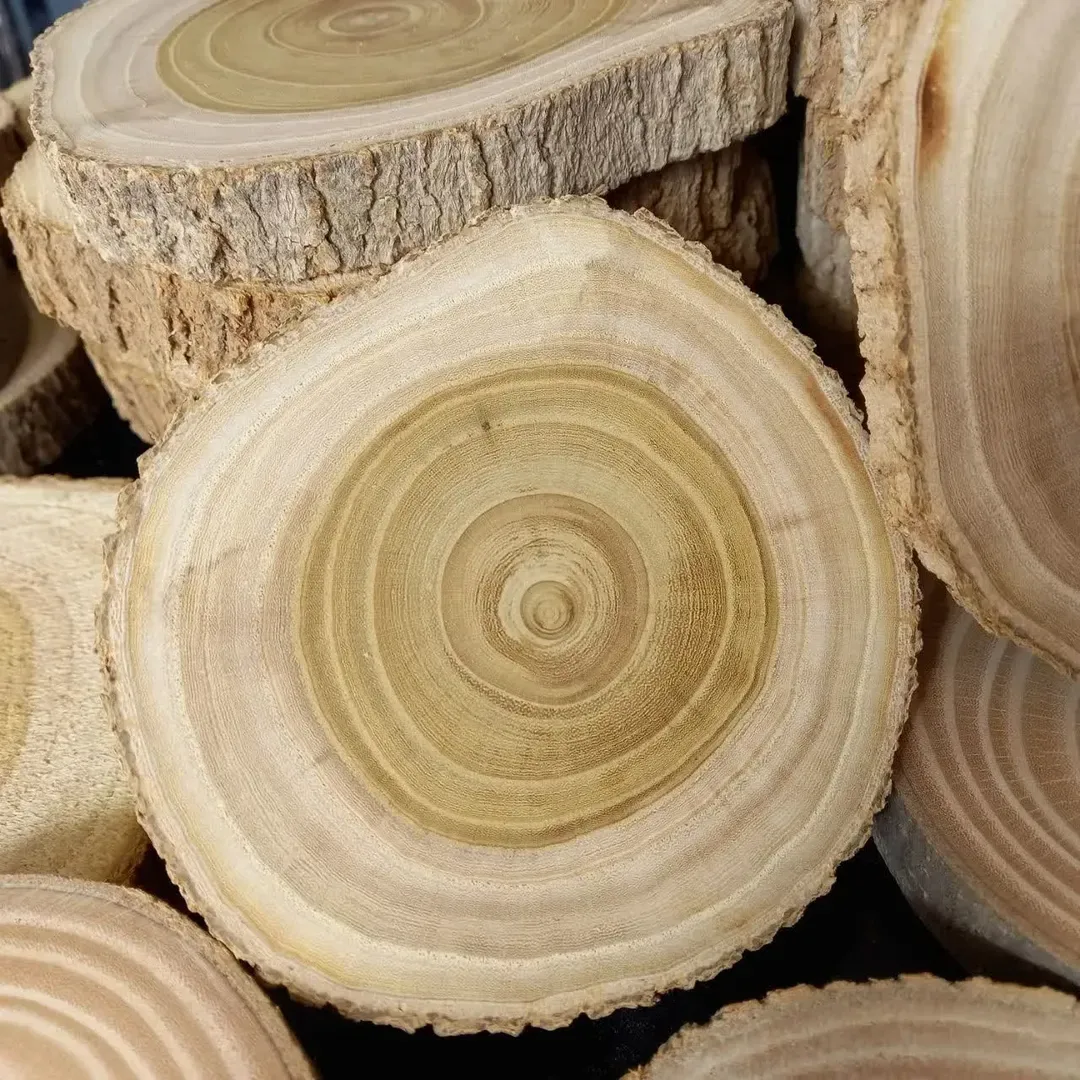 اسلایس چوب توت ۱۰ تا ۱۲ سانت