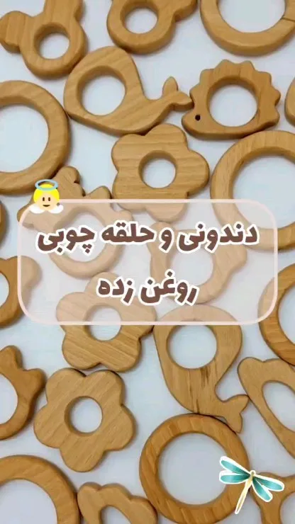 دندونی و حلقه چوبی راش