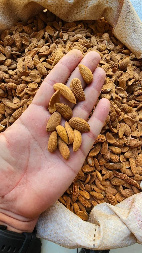 مغز بادام مامایی ایرانی، رنگ قهوه‌ای، پوست‌کنده