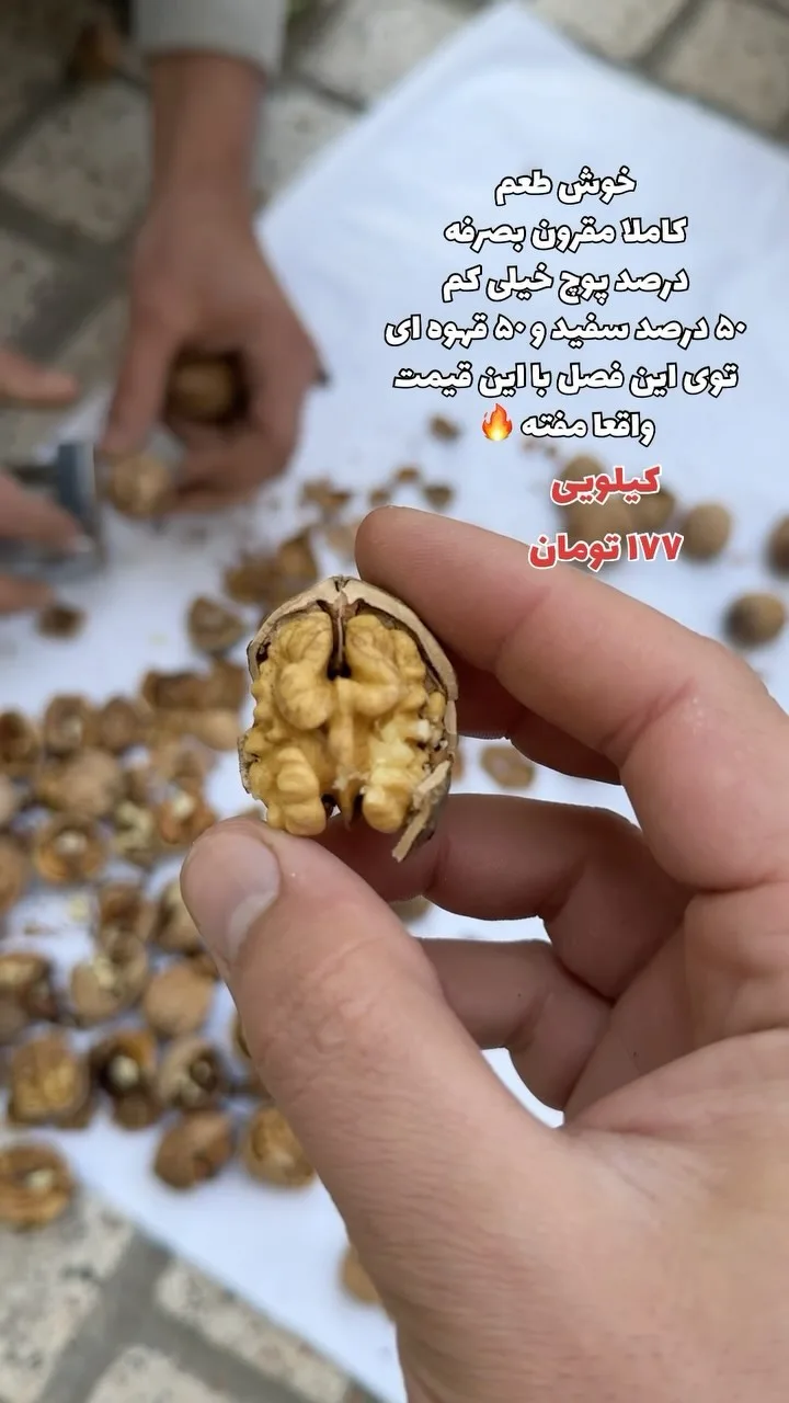 مغز گردو خراسان، رنگ قهوه‌ای و کرم، خشکبار