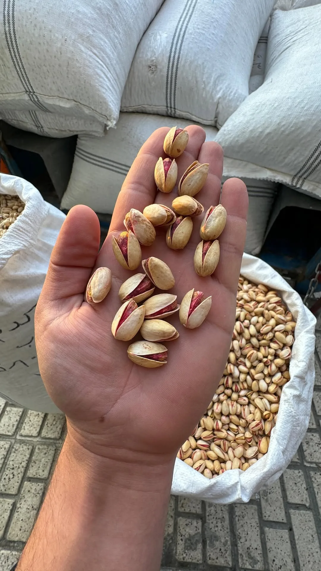 پسته خندان، رنگ کرم و قرمز، خشکبار