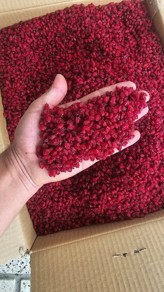 زرشک اناری، رنگ قرمز